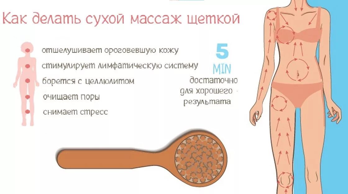 Антицеллюлитный массаж сухой щеткой техника. Схема массажа сухой щеткой от целлюлита. Схема антицеллюлитного массажа щеткой. Схема антицеллюлитного массажа сухой щеткой. Массаж щеткой от целлюлита в домашних условиях