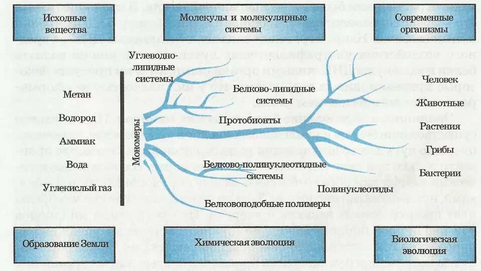 Переход от неживого к живому. Этапы химической эволюции. Химическая Эволюция схема. Этапы химической эволюции биология. Этапы химической эволюции на земле.