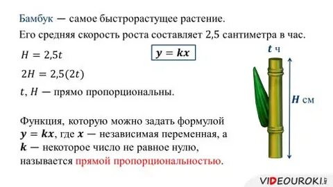 Какую функцию называют прямой пропорциональностью
