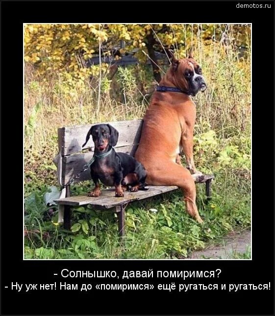 Не хочешь мириться давай. Открытки давай помиримся. веселые картинки для примирения. давай мириться. открытки чтобы помириться.