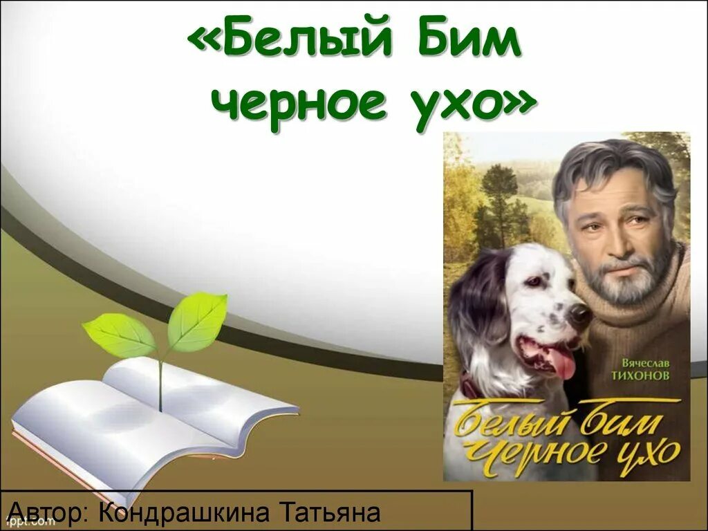 Презентация белый Бим черное ухо. Белый Бим и Толик. Проект белый Бим черное ухо. Белый Бим черное ухо горизонтально