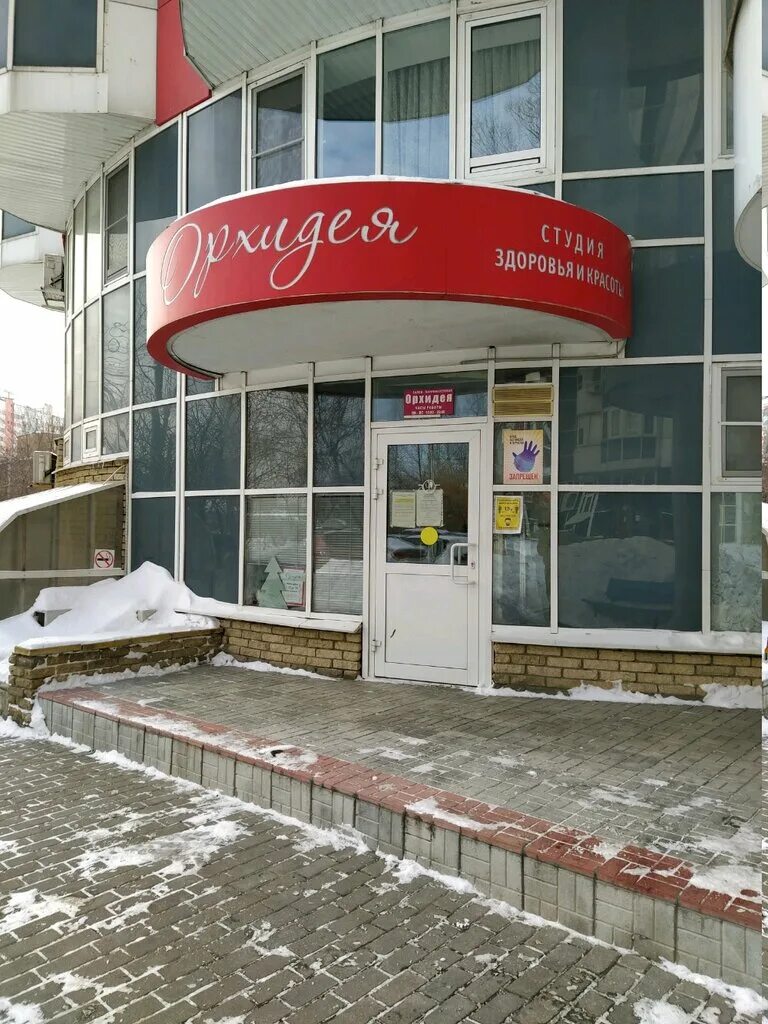 салон красоты в метро медведково. орхидея спа салон санкт-петербург кузнечный переулок. орхидея новая усмань салон красоты. салон красоты орхидея город. салон орхидея москва.