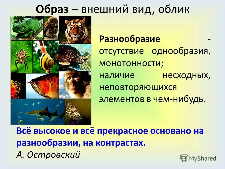 Жизненная форма HeatProf.ru