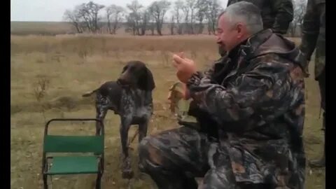 Видео ржем
