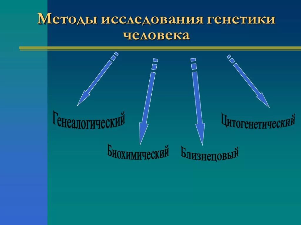 Генетические методы изучения человека. Методы изучения генетика человека. Методытгенетики человека. Метод исследования генетики. Метод изучения генетики человека.