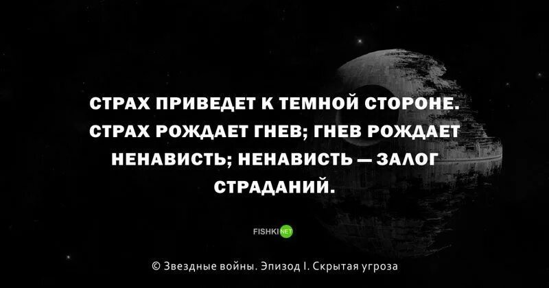 Страх рождает гнев гнев рождает ненависть ненависть залог страдания. Цитаты Звездные войны. Цитаты из Звездных войн. Страх рождает гнев гнев.