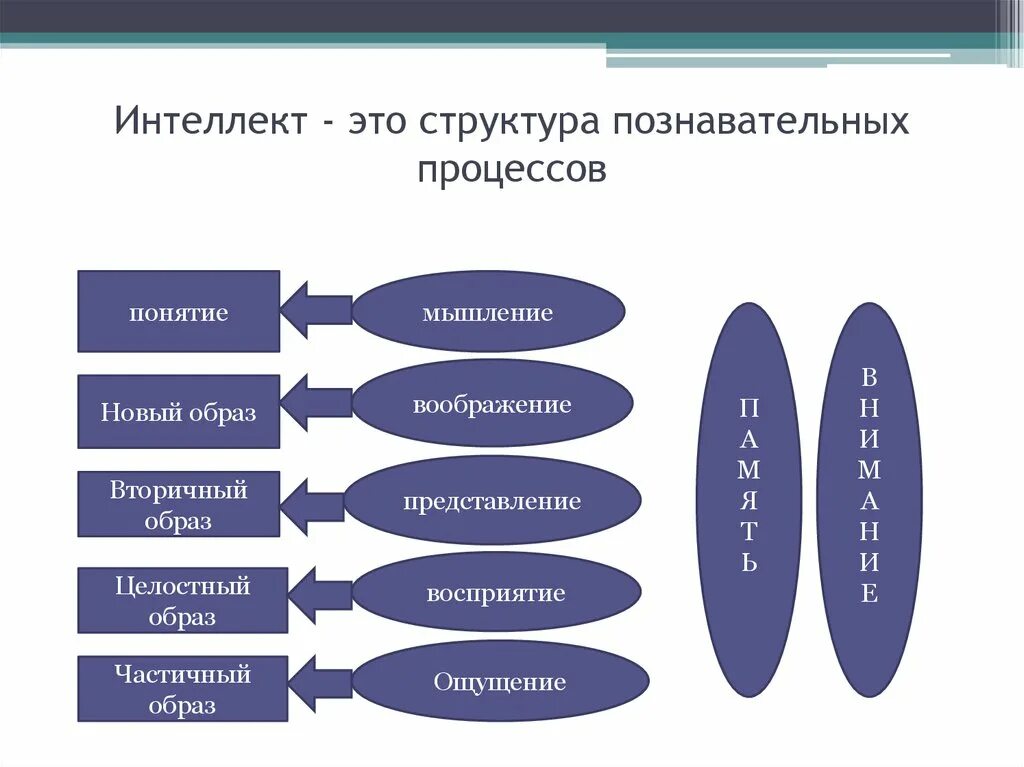 Составьте интеллект. Интеллект его структура и функции. структура и уровни интеллекта в психологии. понятие об интеллекте структура интеллекта. интеллект и его структура в психологии.
