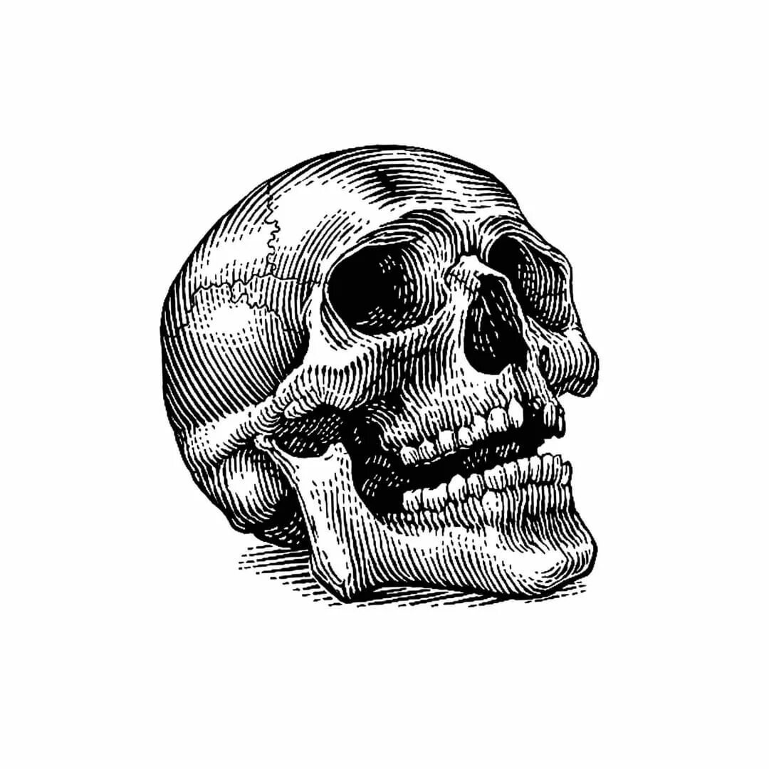 Skull kai. Череп 3д. Череп арт. Крутая ава темнота череп. Крутые черепа.