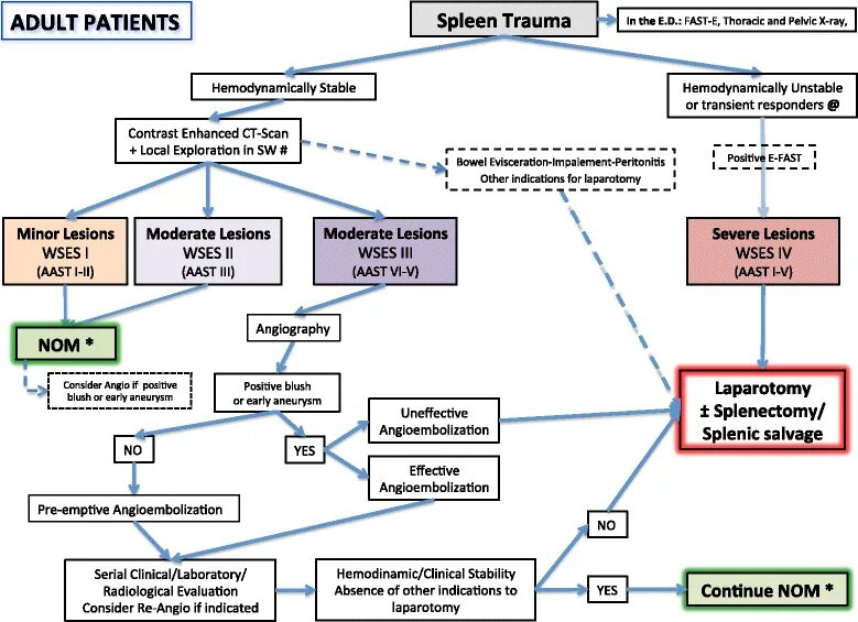 Классификация WSES. Классификация aast травма селезенки. Trauma classification. ITLS осмотр алгоритм. Trauma перевод