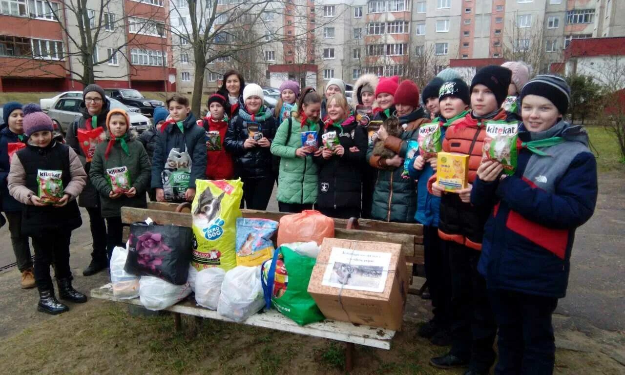 Новости вилейки. Вилейка ясли сад 11. Детский сад Шиловичи Вилейский район. Детский сад 7 Вилейка. Гимназия Логос Вилейка.