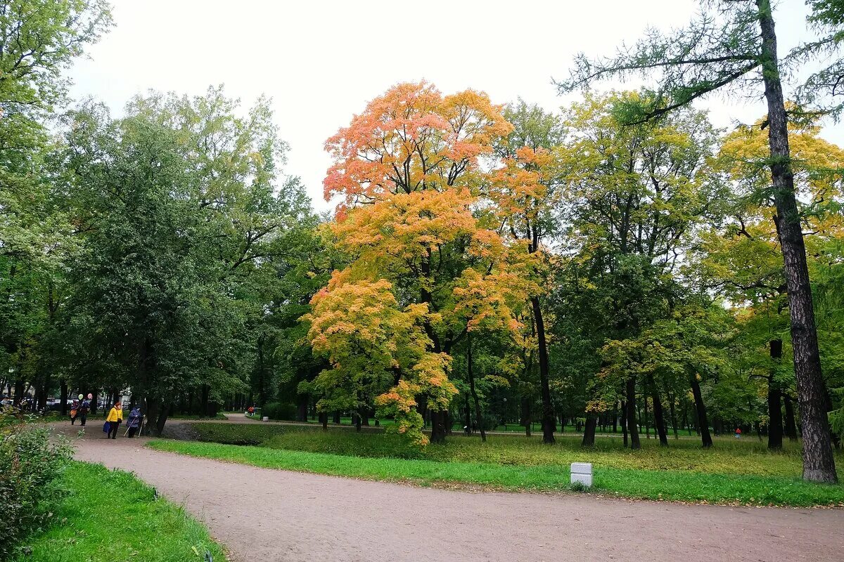 музыка в таврическом саду