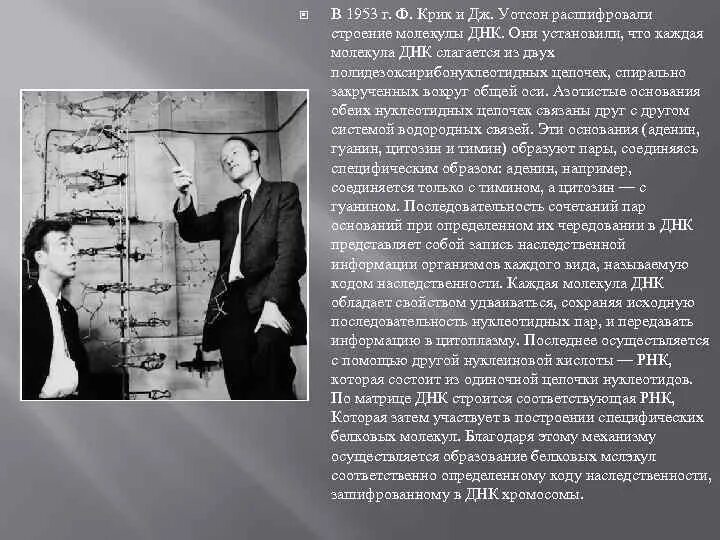 1953 - Ф. крик и Дж. Уотсон. Открытие структуры ДНК Уотсоном и криком. Дж Уотсон и ф крик. Структура ДНК Уотсон и крик. Дж крик