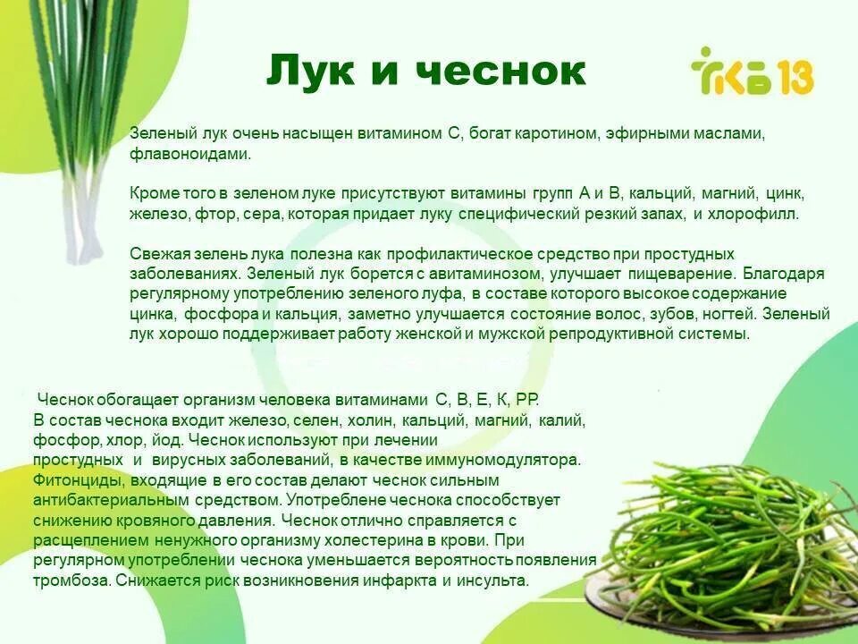 Самая полезная зелень. Укроп польза и вред для человека. Полезные свойства укропа. Укроп. Польза свежего укропа для женщин.