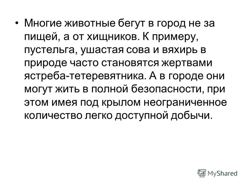 Каково значение синантропных животных в городской среде. Синантропные животные их условия обитания. Значение животных в природе. Синантропность это. Каково значение синантропных животных в городской.