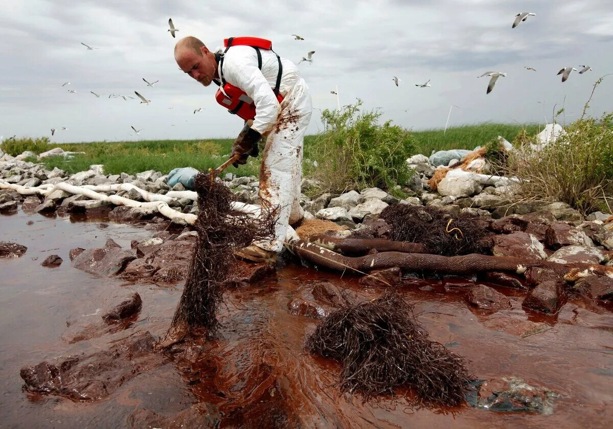 Разлив нефти в мексиканском заливе 2010. Экологическая катастрофа в мексиканском заливе 2010. Экологическая катастрофа разлив нефти. Экологическая катастрофа в мексиканском заливе.