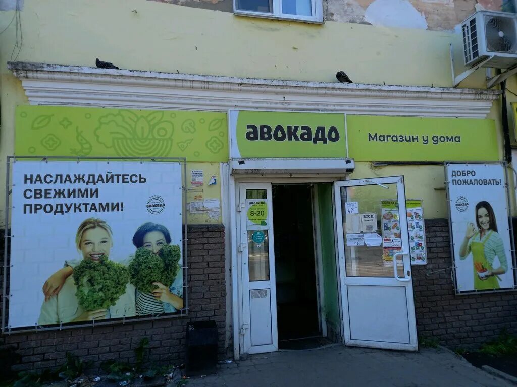 магазин авокадо иваново. авокадо магазин нижний новгород керченская. авокадо нижний новгород. нижний новгород радионого197. магазин авокадо в нижнем.