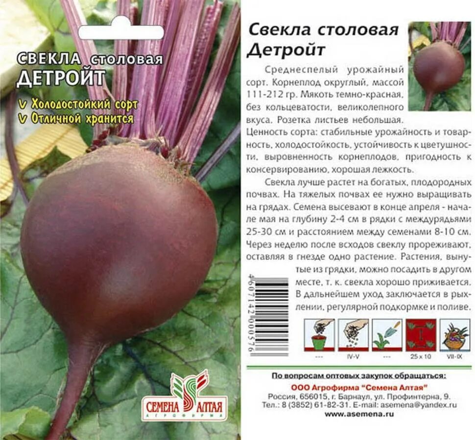 Свекла лучший сорт отзывы. Семена свеклы столовой детройт. семена свекла детройт. свекла столовая детройт описание сорта. сорт свеклы детройт.