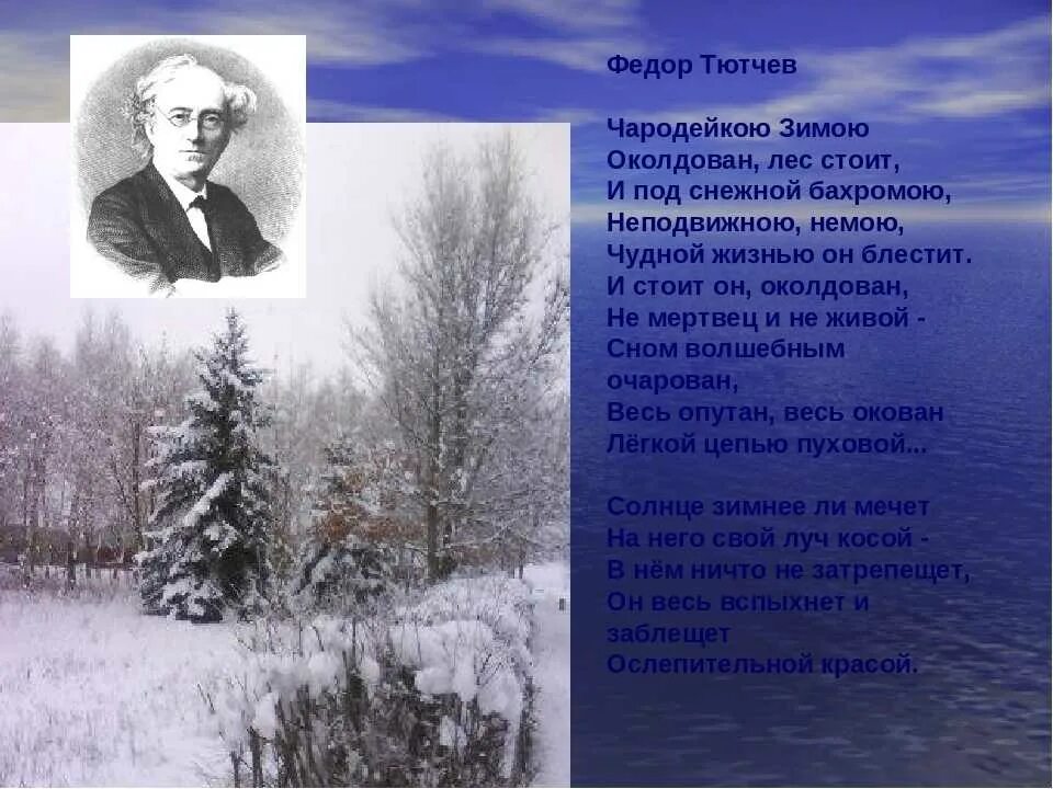 Тютчев Чародейкою зимой. Тютчев лес околдован. Тютчев очарован. Стихи 20 века не причини природе зла