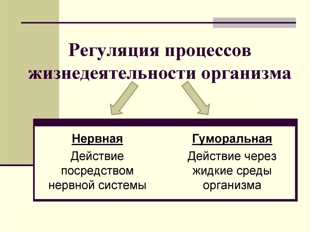 Изменение организмами в процессе жизнедеятельности. Регуляция процессов жизнедеятельности. Регуляция процессов жизнедеятельности организмов. Нервная и гуморальная регуляция процессов жизнедеятельности. Нейрогуморальная регуляция процессов жизнедеятельности.