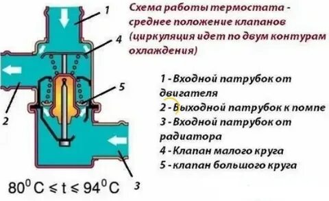 Большой круг термостата