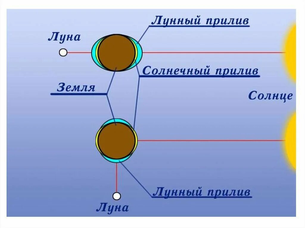 Приливы воды на луну. Сизигийные приливы схема. Приливы и отливы схема. Схема возникновения приливов. Лунные и солнечные приливы.