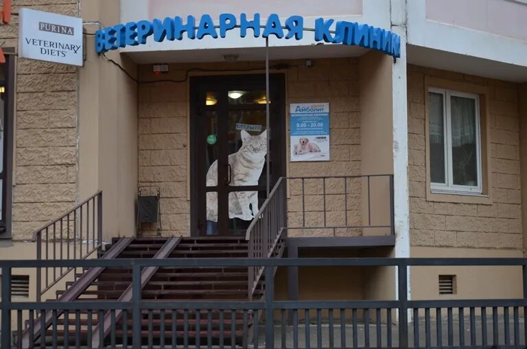 Айболит 11 б: найдено 82 изображений