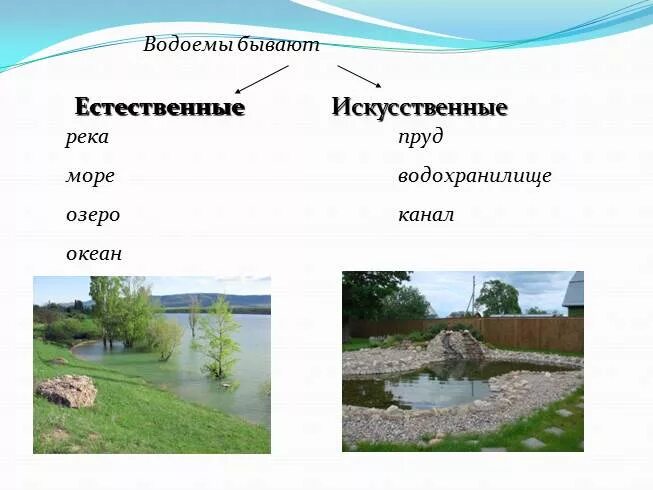Естественным водоемом является. Естественным водоемом является