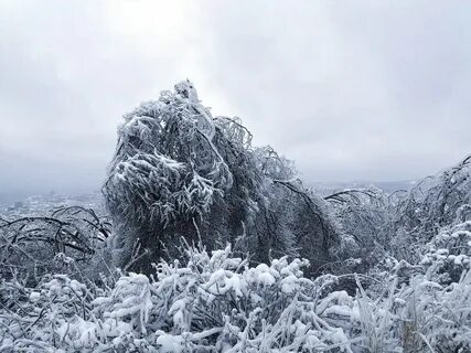 Ледяной дождь аудиокнига слушать