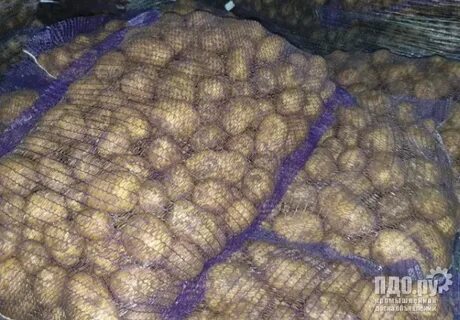 Купим картофель кемеровская область