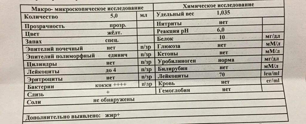 Рн мочи кота. Анализ мочи у котов расшифровка. показатели мочи кота расшифровка. показатели мочи у собак расшифровка норма. общий анализ мочи у собаки норма и расшифровка.