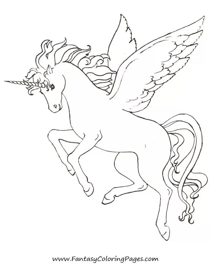 Пегас раскраска для детей распечатать print coloring image MomJunction Horse coloring pages, Cartoon coloring pages,