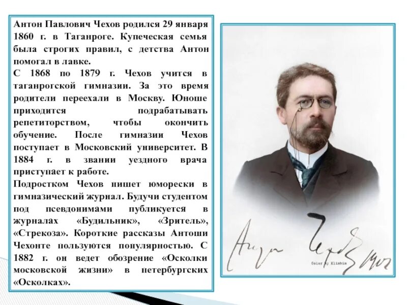 Чехов портрет в молодости. Биография чехова дети. Чехов родился в таганроге в семье купца. Чехов биография. Чехов биография.