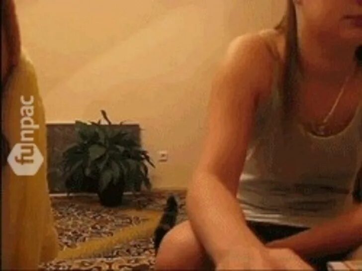 Им лет по 11 со звуком умора. Им лет по 11 со звуком умора. "им лет" "со звуком-умора". Видеозаписи сын без названия. Им лет по 11 со звуком умора.