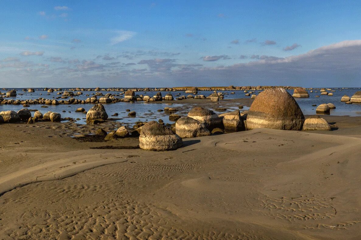 Финский залив соленая вода. Кингисеппский район Кургальский полуостров. Кургальский заказник Ленинградской. Белое озеро Кургальский полуостров. Кургальский полуостров дюны.