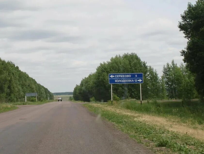 Бутурлиновская дши. Погода в колодеевке бутурлиновского. Пруд золотой сазан воронежская область бутурлиновка. Погода в колодеевке бутурлиновского. Погода в колодеевке бутурлиновского.