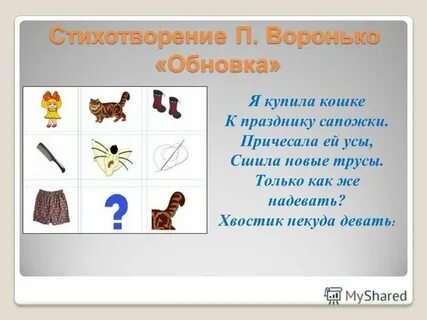 Каждая кошка купила пару сапожек
