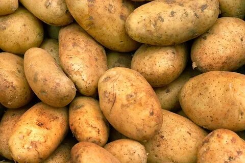 Картофель венета описание отзывы вкусовые качества