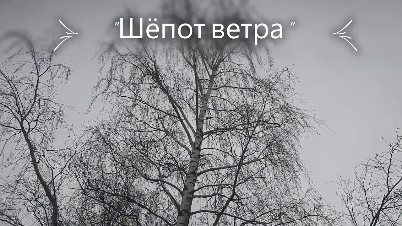 Шепот ветра. Шепот ветра фф. Шёпот на ветру книга. Шепот ветра текст. Шепот ветра 2