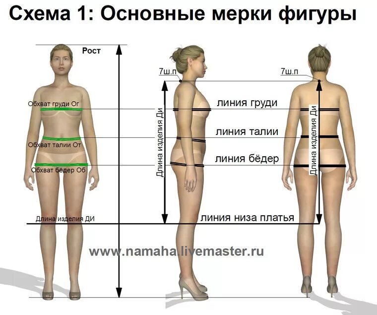 Бедро сколько см. Схема снятия мерок. Схема снятия мерок с женской фигуры. Схема снятия мерок для пошива. Мерка от талии до середины бедра.