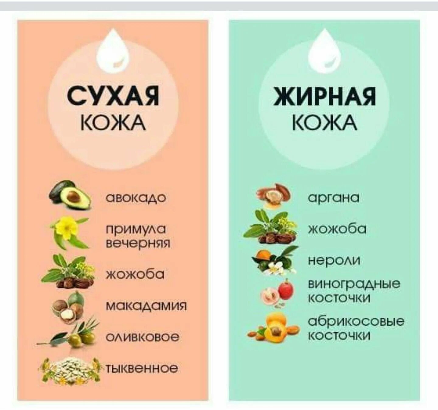 Какие масла для кожи лица. Масла по типу кожи. Полезные советы для кожи лица. Продукты для кожи лица. Продукты для красоты лица.