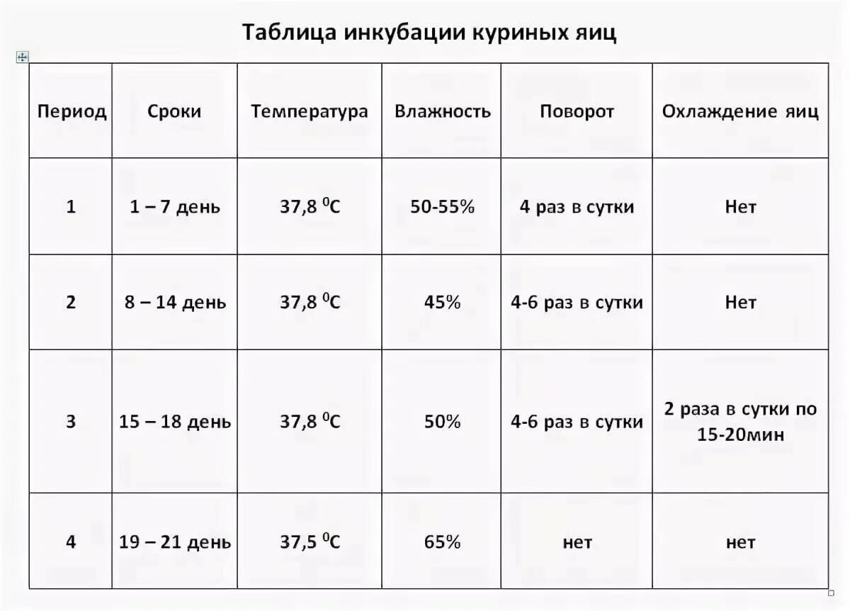 Режим инкубации блиц. Режим инкубации куриных яиц в инкубаторе таблица. Инкубация куриных яиц несушек таблица. Температура в инкубаторе для куриных яиц таблица. Таблица инкубации куриных яиц в инкубаторе Несушка.