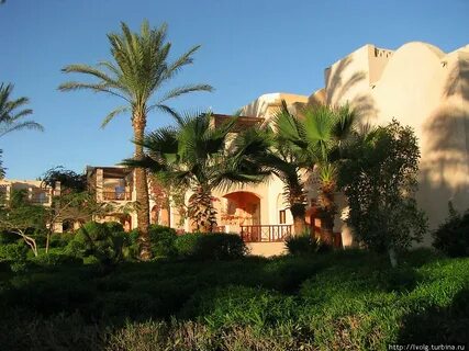 Jaz oasis resort