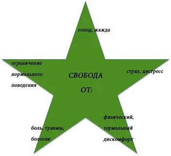 Пять свобод