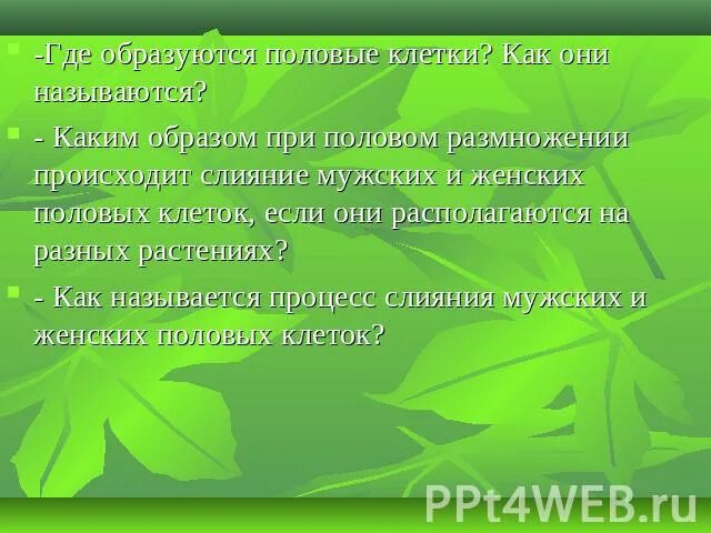 Перестали размножаться. Размножение воспроизведение себе подобных. Воспроизведение развитие размножение. Половое размножение растений мужской и женской клеток. Мужские женские особи называются растения.