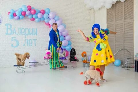 Шоу пуделей