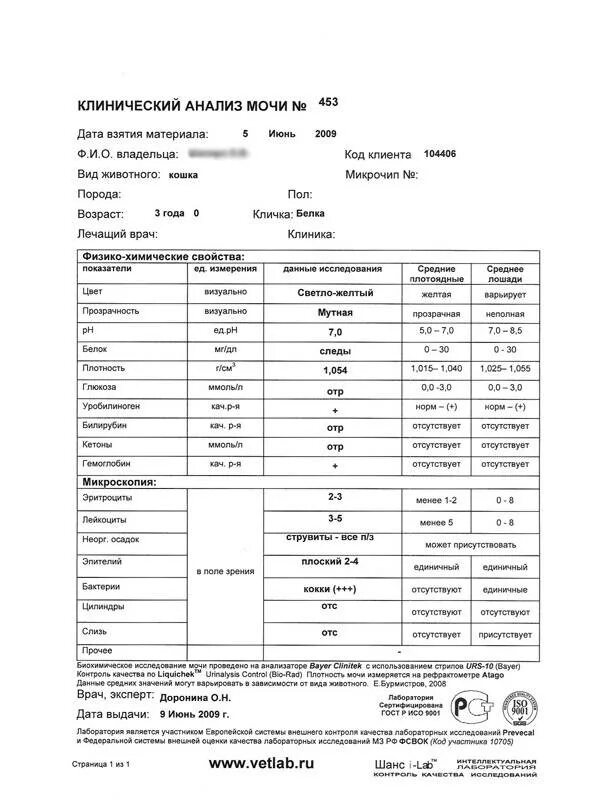 Кошка моча. Анализ мочи кота при мочекаменной болезни. Анализ мочи у котов норма. Анализ мочи у кота норма расшифровка анализа. Анализ крови при болезни почек у кошек.