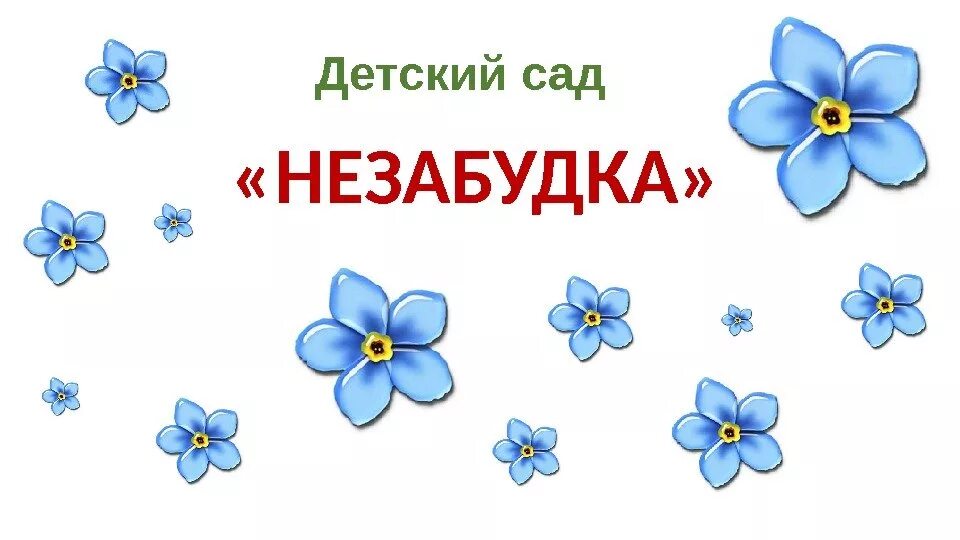 Незабудка 3 класс. Детский сад Незабудка. Незабудка для дошкольников. Группа незабудки в детском саду. Детский сад Незабудка Незабудка.