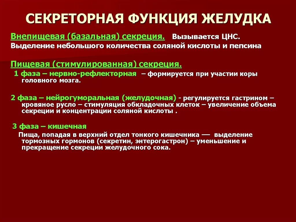 Секреторная деятельность желудка физиология. Секреторная и двигательная функция желудка. Секреторная деятельность желез желудка. Секреторная функция ЖКТ. На 2 этапе функцию