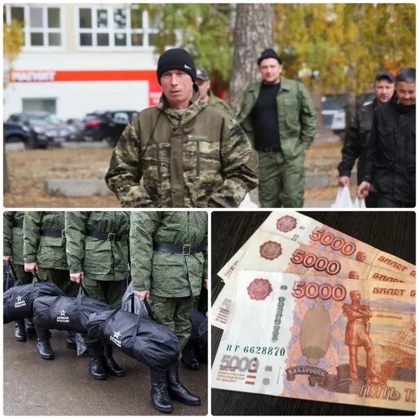 Помощь мобилизованным выплаты. Выплаты по мобилизации. какие выплаты мобилизованным.