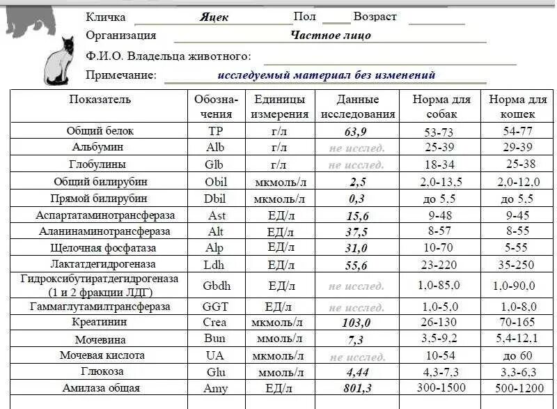 Повышенная амилаза крови причины. Алт АСТ амилаза норма. Алт АСТ норма ммоль/л. Норма алт в ммоль/л в крови. АСТ У детей норма ммоль/л.